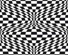 Illusion (2)