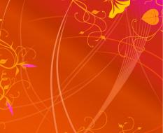 shutterstock_9124024
